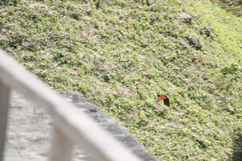 Mexico & Guatemala 2010 - 1112